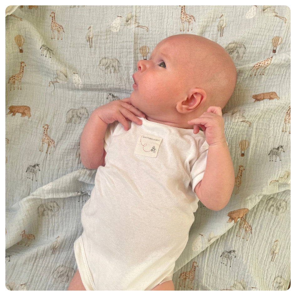 Muselina de algodón safari celeste