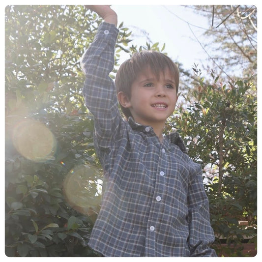 Camisa clásica cuadros azules