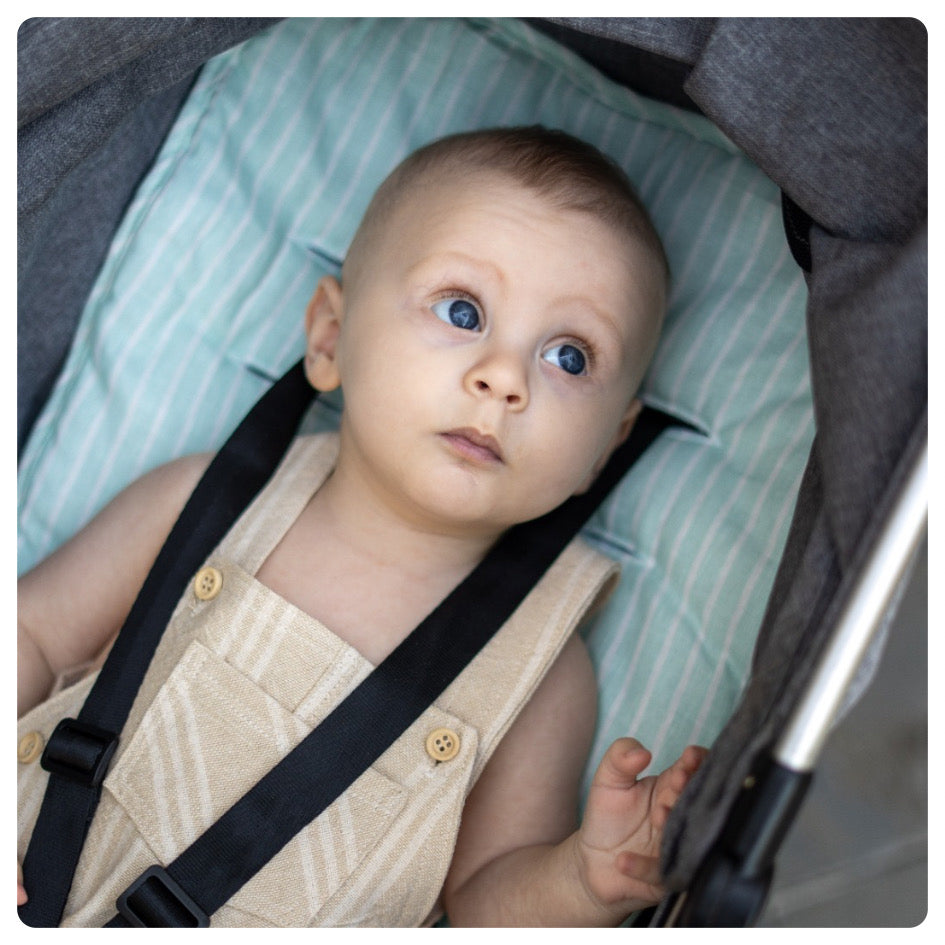 Colchón de coche universal Mint