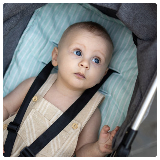 Colchón de coche universal Mint