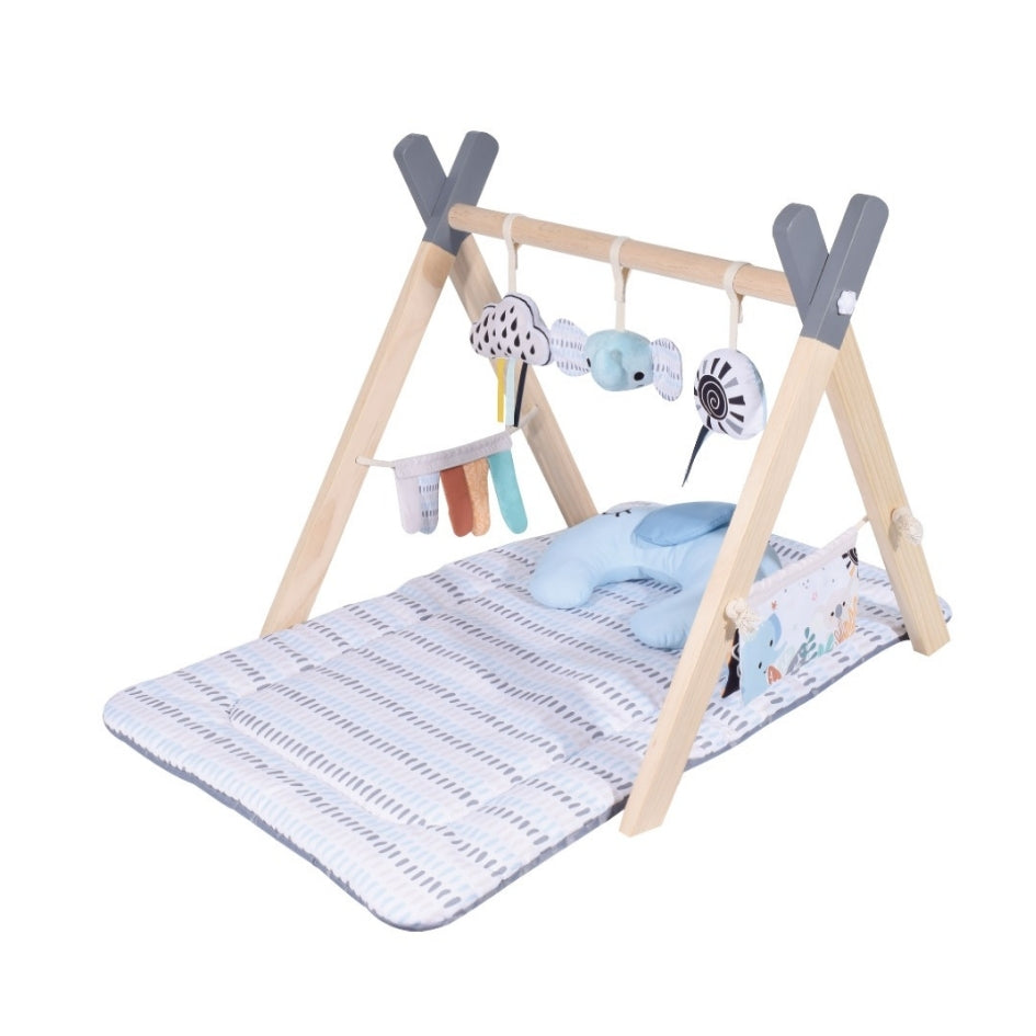 Gimnasio de madera con alfombra