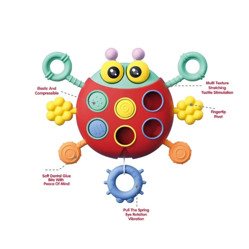 Juguete Montessori sensorial de silicona